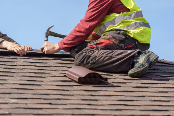 Best Shingle Roofing Installation  in Ovid, MI