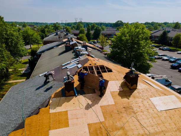 Best Best Roofing Contractors  in Ovid, MI