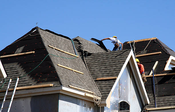 Best Affordable Roofing Company  in Ovid, MI