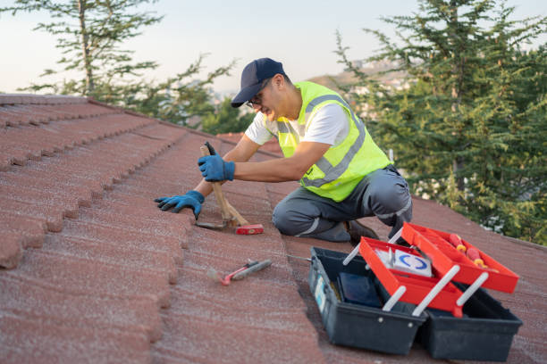 Best Flat Roof Repair Services  in Ovid, MI