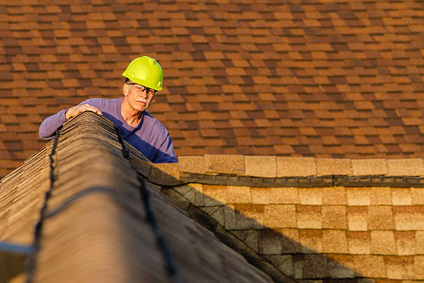 Best Roof Replacement Cost  in Ovid, MI