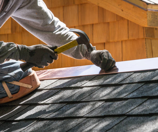 Best Roof Repair Services  in Ovid, MI